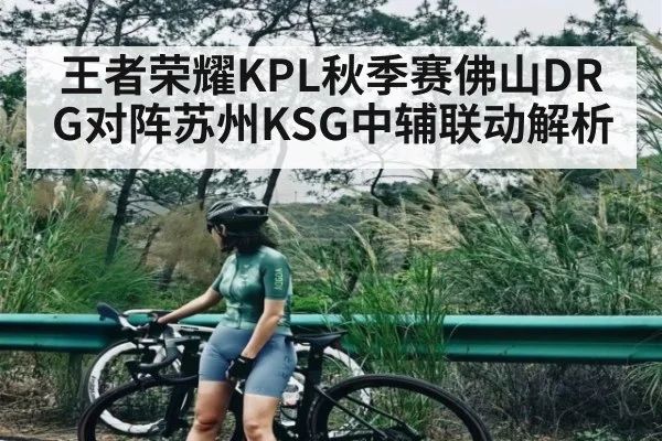 王者荣耀KPL秋季赛佛山DRG对阵苏州KSG中辅联动解析