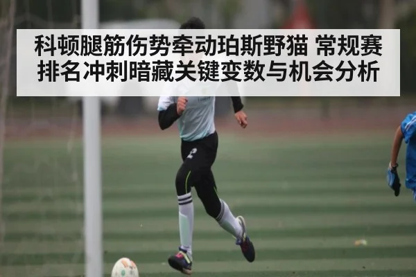 科顿腿筋伤势牵动珀斯野猫 常规赛排名冲刺暗藏关键变数与机会分析